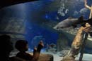 2007-06-12_0183_Glen Aquarium
