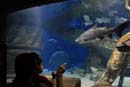 2007-06-12_0184_Glen Aquarium