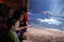 2007-06-12_0193_Glen Aquarium