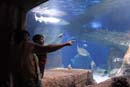 2007-06-12_0199_Glen Aquarium