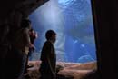 2007-06-12_0205_Glen Aquarium