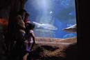 2007-06-12_0212_Glen Aquarium
