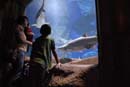 2007-06-12_0216_Glen Aquarium