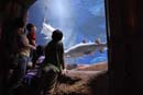 2007-06-12_0217_Glen Aquarium