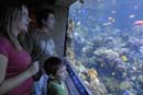 2007-06-12_0235_Glen Aquarium