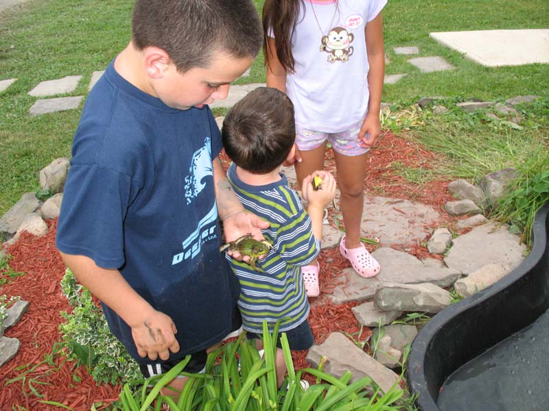 2007-07-08_0006_Frogs