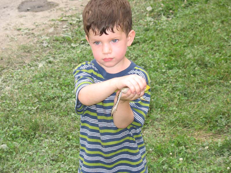 2007-07-08_0013_Frogs