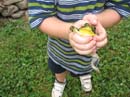2007-07-08_0002_Frogs
