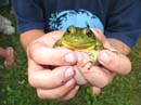2007-07-08_0005_Frogs