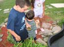 2007-07-08_0006_Frogs