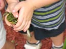 2007-07-08_0008_Frogs
