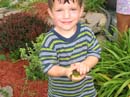 2007-07-08_0009_Frogs