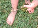 2007-07-08_0010_Frogs