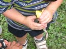 2007-07-08_0015_Frogs