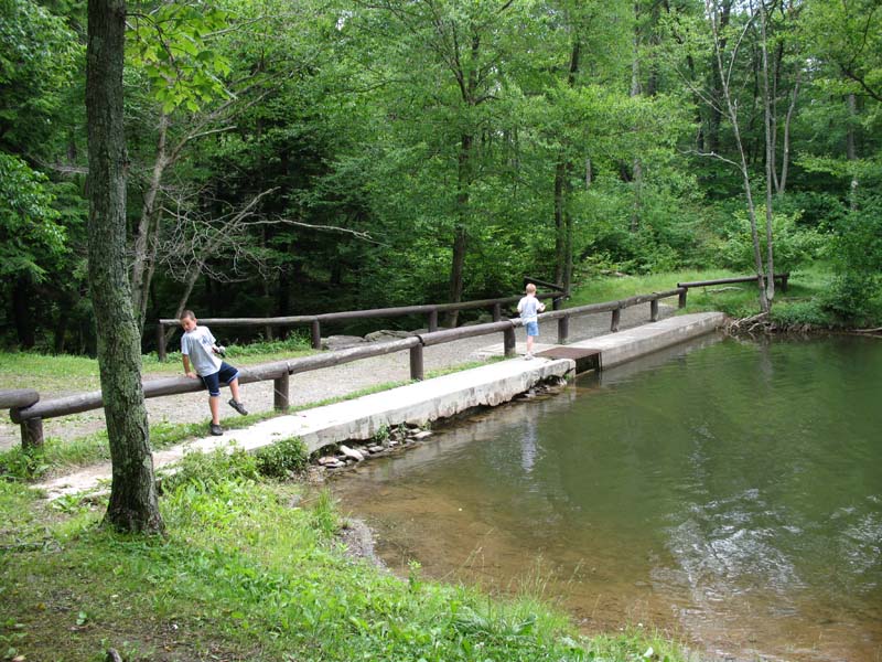 2007-07-05_0061_Little Pond