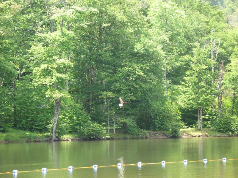 2007-07-05_0066_Little Pond