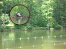 2007-07-05_0065_Little Pond