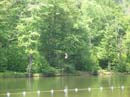 2007-07-05_0066_Little Pond