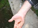2007-07-06_0006_Little Pond