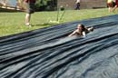 2007-07-07_0161_SHILOH