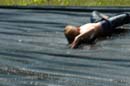 2007-07-07_0196_SHILOH