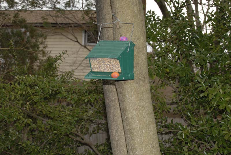 2007-04-08_0007_Easter