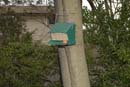 2007-04-08_0007_Easter