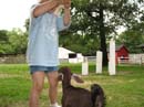 _20080624_059_LI Gam#F6693C