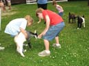 _20080624_075_LI Gam#F66AE2