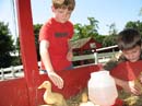_20080624_164_LI Gam#F66DB2