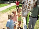 _20080624_173_LI Gam#F66DCD