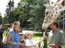 _20080624_191_LI Gam#F66E03