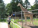 _20080624_232_LI Gam#F66E80