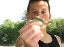 20080701_038_LittlePond A-G