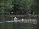 20080703_143_Little#17D0B3D
