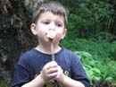 20080703_273_Little#17D0BCF