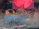 2009-01-26 584 Spli#FA684DE